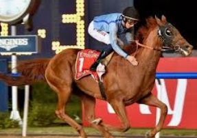 แทงม้า Dubai World Cup ufabet ศึกชิงเจ้าสนามแข่งม้าที่ใหญ่ที่สุดในโลก