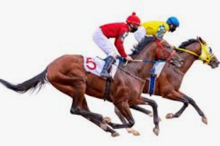 การเลือกจ๊อกกี้ก่อนเดิมพัน ufabet: ปัจจัยสำคัญที่นักเดิมพันต้องรู้