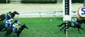 วิเคราะห์สนามแข่งม้า ufabet: กลยุทธ์และมุมมองเชิงลึกสำหรับนักเดิมพันมืออาชีพ