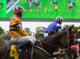 สูตรการแทงม้าทีมเต็ง ufabet เจาะลึกเทคนิคชนะเดิมพันอย่างยั่งยืน